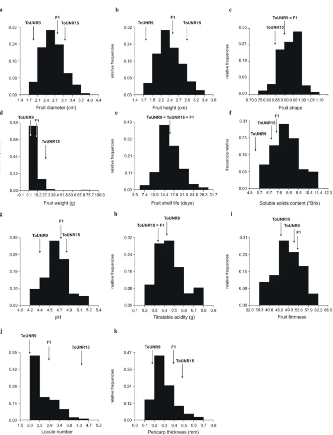 Figure 1. Frequency distributions for each phenotypic trait evaluated in F 2  (ToUNR15 x ToUNR9) generation