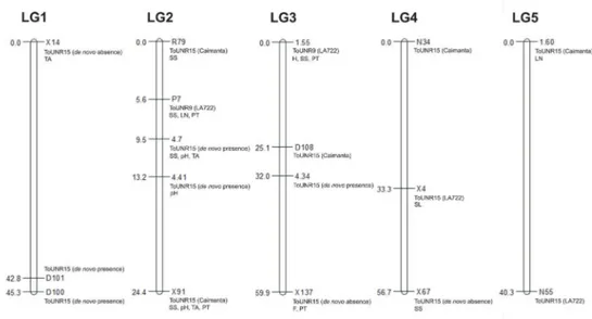 Figure 2. Linkage group (LG) constituted by molecular markers with Mendelian inheritance