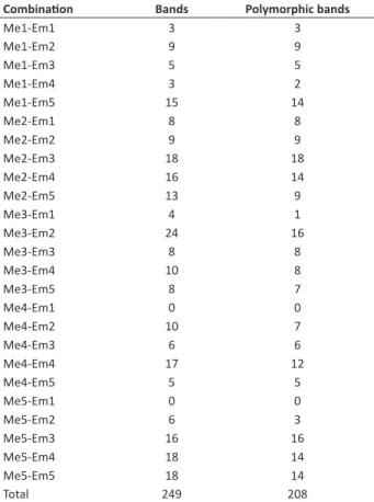 Table 2.  Number of bands and polymorphic bands generated by  SRAP primer combinations