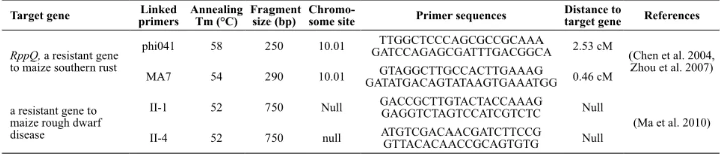 Table 1. Primers used for positive clone detection