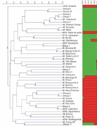 Figure 1. Clustering analysis of 46 genotypes identified for sweet cassava  accessions sampled in the North region of Brazil, based on nine  microsatel-lite loci