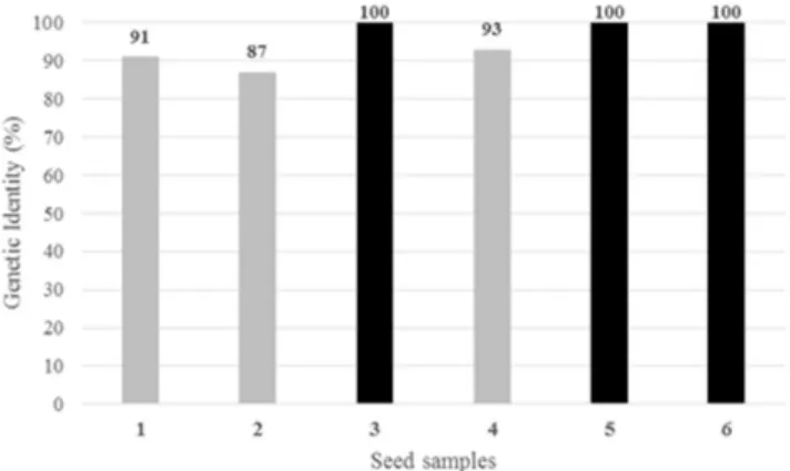 Figure 2. Genetic identity between seed samples of the Carioca com- com-mon bean cultivar BRS Estilo, estimated based on the relative genetic  similarity using 22 microsatellite loci