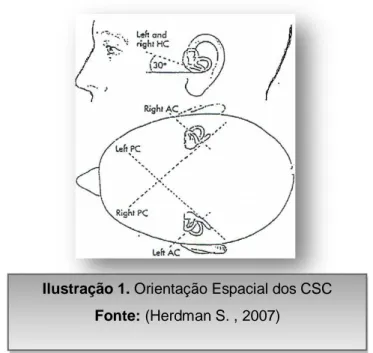 Ilustração 1. Orientação Espacial dos CSC  Fonte: (Herdman S. , 2007) 