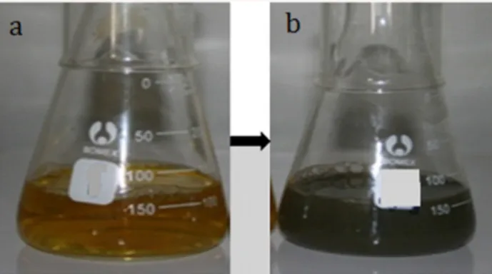 Figure 1. Color of plant extract before (a) and (b) after adding  AgNO 3  solution. 
