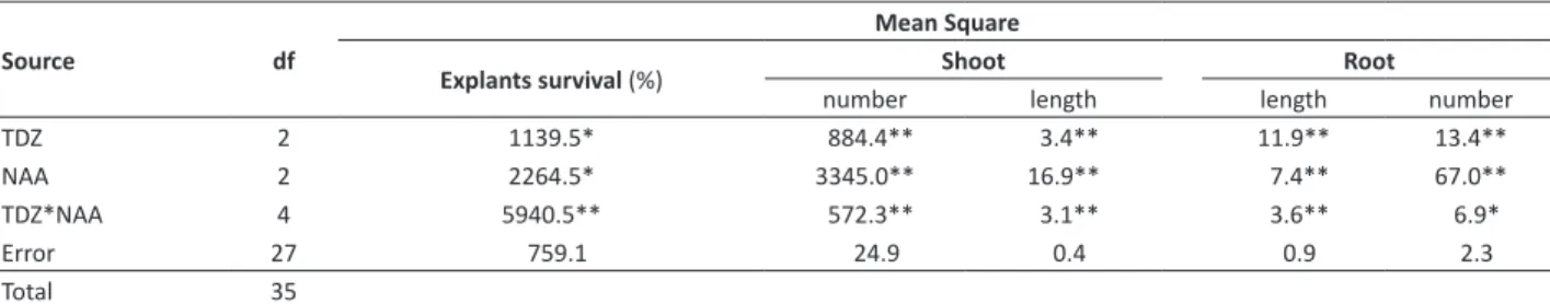 Table 2. Effects of concentrations of α-naphtaleneacetic acid (NAA) and thidiazuron (TDZ) on the formation of protocorm-like bodies  (PLBs) from excised root tip of  Cyrtopodium paludicolum  maintained in Knudson medium for 120 days