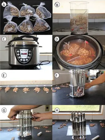 Figure 1. Steps of the procedure for evaluation of the percentage  of cooked grains. A) Preparation of the samples in voile bags, B)  Soaking in distilled water, C) Cooking, D) Removal of samples from  the pressure cooker, E) Cooling of grains, F) Grains b