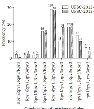 Figure 1. Genotypic frequency distribution (in percentage) of  two loci conferring resistance to downy mildew in 622 plants of  UFSC-2013-1 and UFSC-2013-2 populations