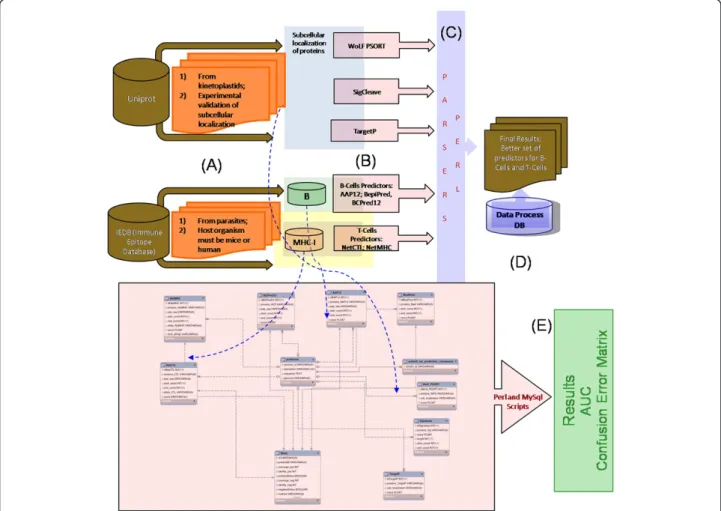 Figure 1 The methodology flowchart used to develop this work. A - Construction of the experimentally tested epitopes database, obtained on the curated Immune Epitope Database and Analysis Resource (IEDB) and on Uniprot