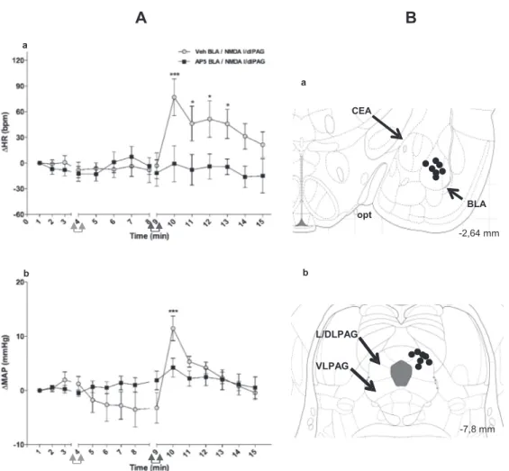 Fig. 4. Eﬀect of the NMDA receptor antagonist in the BLA on the increase in MAP and HR evoked by activation of the l/dlPAG