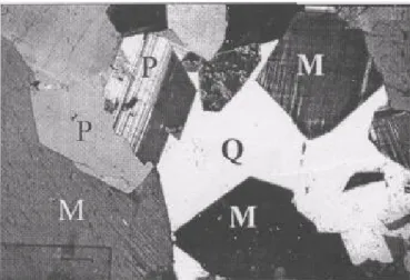Figura 2 - Fotomicrografia da textura magmática do granito Borrachudos,  mostrando plagioclásio (P) e microclina (M) euédricos e quartzo (Q)  intersticial