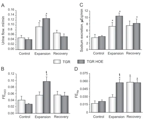 Fig. 2. Effect of acute volume expansion on atrial natriuretic peptide (A) and vasopressin (B) plasma concentration in TGR (hKLK1) and Sprague–