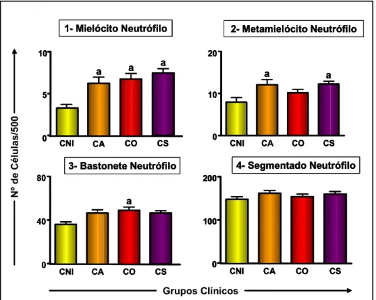 Figura 2: b) Contagem celular da série granulocítica neutrofílica nos diferentes  grupos clínicos e no grupo de cães não-infectados