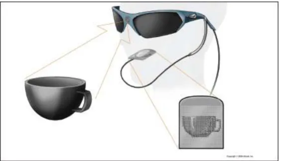 Figura 11 - “BrainPortVision” 