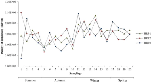 Fig. 3. Density of individuals in the high rate ponds throughout the sampling period.