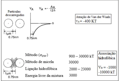 Figura 10 - Comparação entre os valores de energia de ligação por atração de Van der Waals e por  associação hidrofóbica 