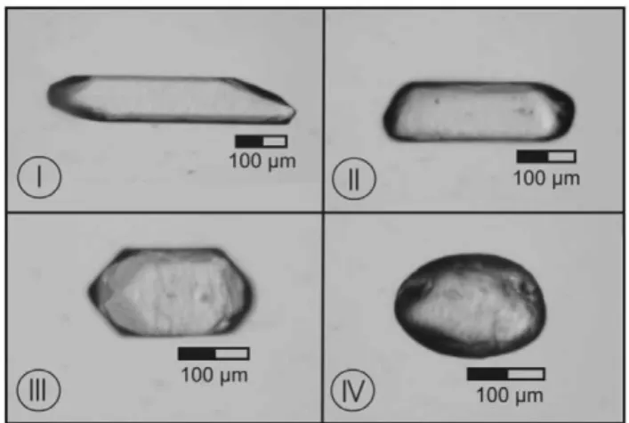 Fig. 2. Morphologic classiﬁcation of CKD zircon crystals. Type I: long, euhedral crystals; type II: intermediate, subhedral to subrounded crystals;