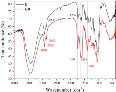 Fig. 3. Evolution of the adsorption of MB and GV dyes onto EB as a function of time.