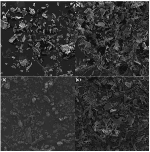 Fig. 7. SEM micrographs of unloaded (a) and (b) and etherdiamine-loaded (c) and (d) SCB 2 and EB (300).