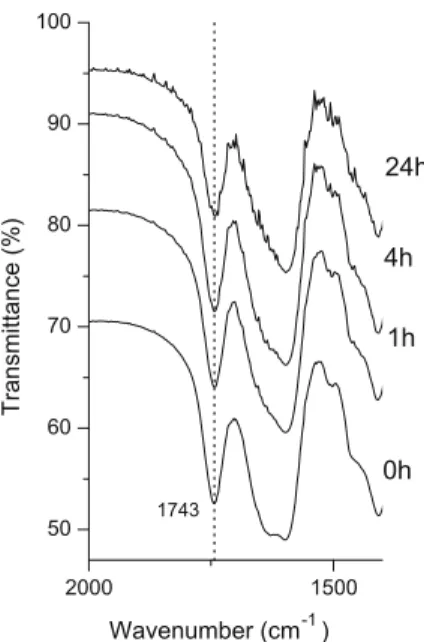 Fig. 2. FTIR spectra of EMMB after treatment at pH 1.