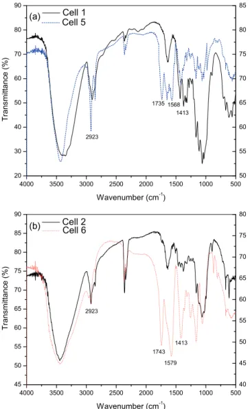 Fig. 2. FTIR spectrum of cells 1 and 5 (a) and cells 2 and 6 (b).