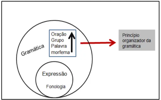 Figura 5- Organização da gramática na hierarquia composicional das línguas inglesa,  espanhola, francesa e português brasileiro