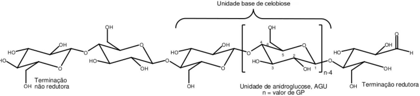 Figura 1: Estrutura molecular da celulose. 