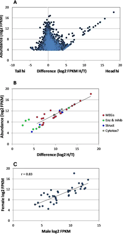 Fig 5. Head-enriched genes in female worms. A) Scatter plot of differential gene expression in female heads and tails, based on the Trinity assembly of raw reads from HiSeq