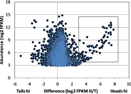 Fig 1. Head-enriched genes in male worms. Scatter plot of differential gene expression in heads and tails based on the Trinity assembly of raw reads by MiSeq