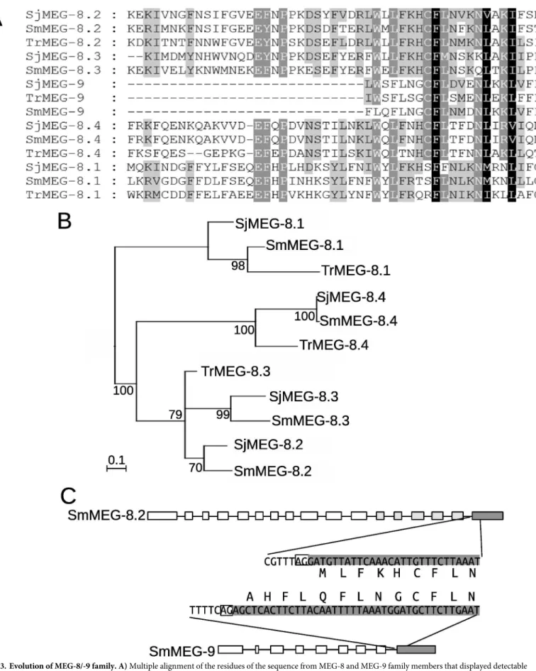 Fig 3. Evolution of MEG-8/-9 family. A) Multiple alignment of the residues of the sequence from MEG-8 and MEG-9 family members that displayed detectable similarity at the amino acid level