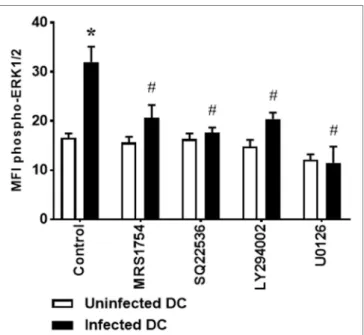 FigUre 4 | Extracellular signal-regulated protein kinases 1/2 (ERK1/2)  phosphorylation in Leishmania amazonensis-infected dendritic cells (DC) is  dependent on A 2B  receptor, AMPc production, and phosphoinositide 3-kinase  (PI3K) activation