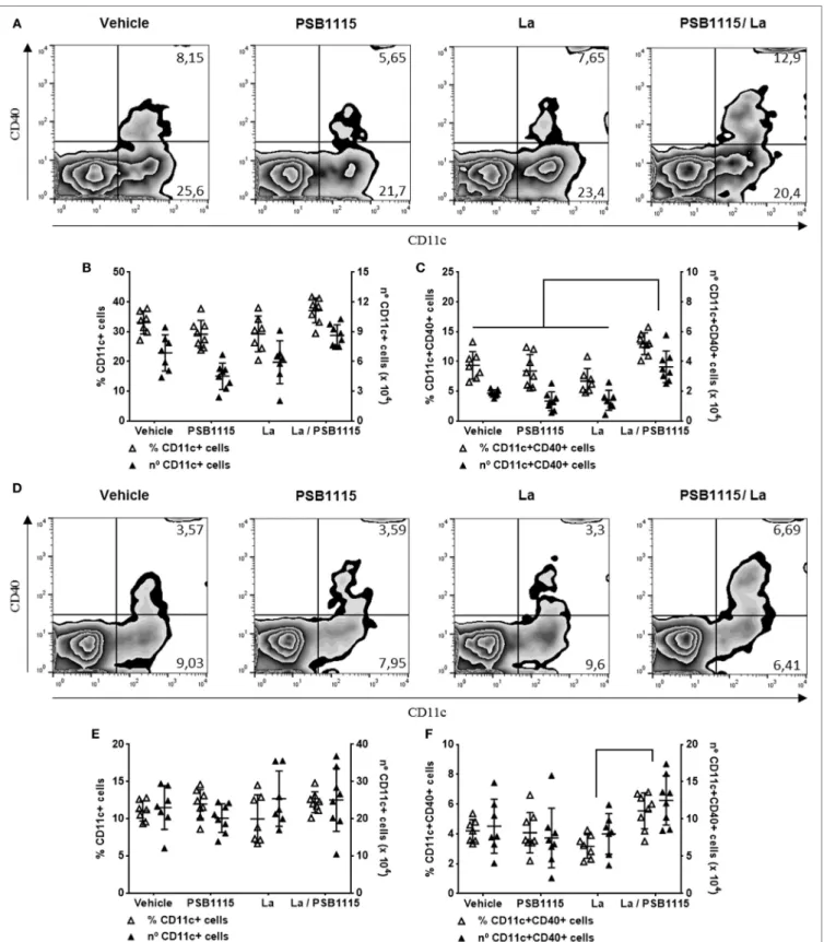 FigUre 5 | A 2B  receptor blockade increases the percentage of CD40 +  dendritic cells on ears and draining lymph nodes of L