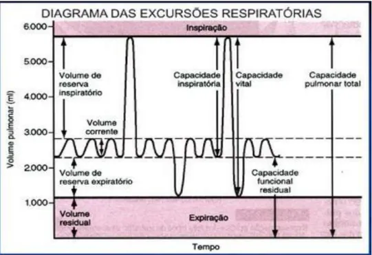Figura 2: Volume e Capacidades Pulmonares (Fonte: Diretrizes para Testes  de Função Pulmonar, SBPT, 2002) 