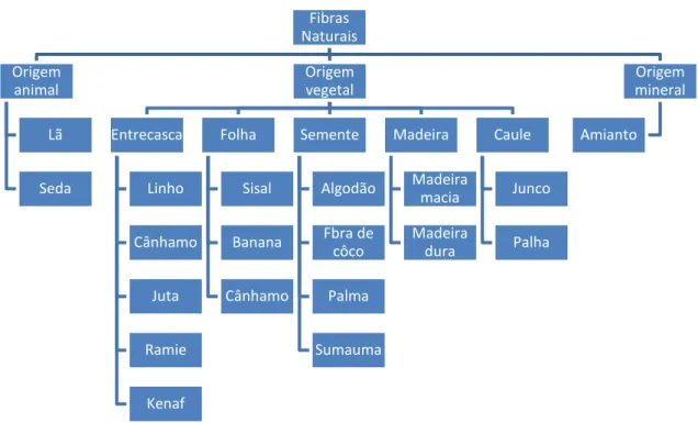 Figura 3.1  –  Classificação das fibras naturais.  (PINHEIRO, 2008)