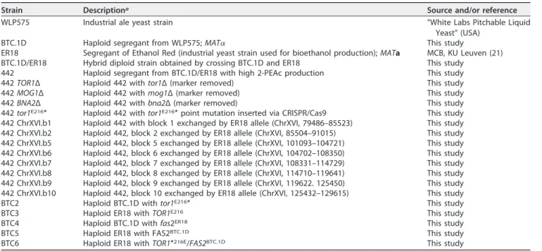 TABLE 2 S. cerevisiae strains used in this study
