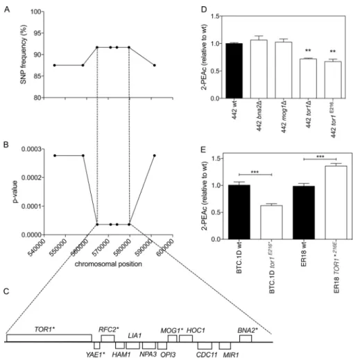 FIG 2 Legend (Continued)
