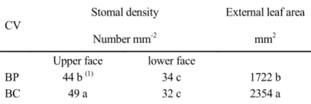 Table 2 - Density of stomata, external, measured in anthesis (stage E69) in the flag leaf of two wheat cultivars (Triticum aestivum  L.).