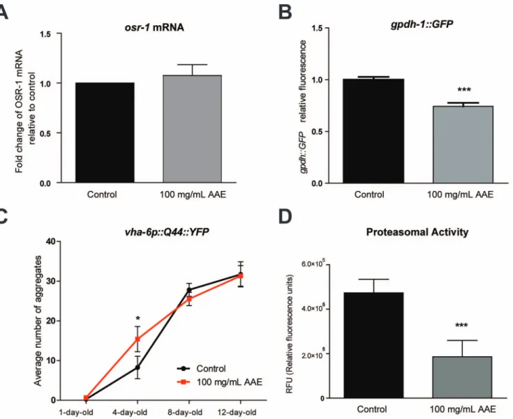 Figure 6. Effect of ac¸aı´ aqueous extract (AAE) on DAF-16::GFP nuclear localization and the expression of its stress-inducible targets.