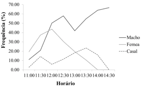 Figura 6. Frequência relativa de fêmeas, machos e casais de Arhysosage  cactorum em  flores de Parodia scopa ao longo da antese