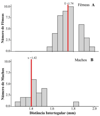 Figura  11.  Distribuição  da  distância  intertegular  de  fêmeas  (A)  e  machos  (B)  de  Anthrenoides micans