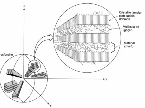 FIGURA 3.4 – Representação esquemática da estrutura detalhada de uma esferulite  (Fonte: CALLISTER, 2002, p