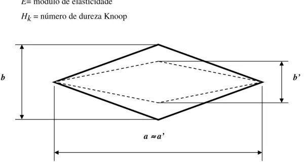 FIGURA 5.10 – Representação da penetração Knoop com recuperação elástica das diagonais 