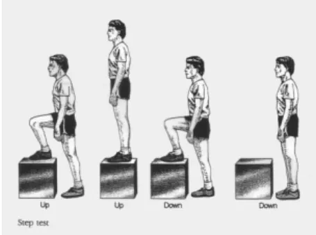 Figura 6 Queen's College Step Test 