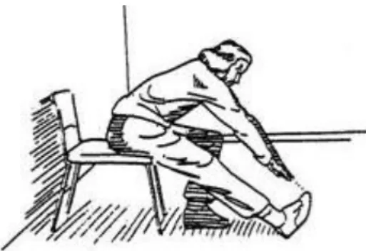 Figura 9 Back Scratch Test