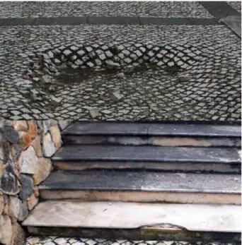 Fig.  6.  Fotografia  aérea,  retirada  do  Bing  Maps,  onde  é  possível  perceber  de  forma  mais  lúcida  o  tipo  de  vegetação existente e a relação com edificado