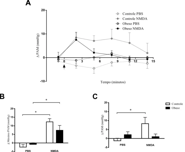 Figura 8: (A) Mudanças de pressão arterial média (PAM-mmHg) em ratos coletivos controle (n=8) e obesos  (n=5) pré-tratados com veículo-PBS (100nl) e NMDA (10pmol/100nl) no DMH, em dias consecutivos