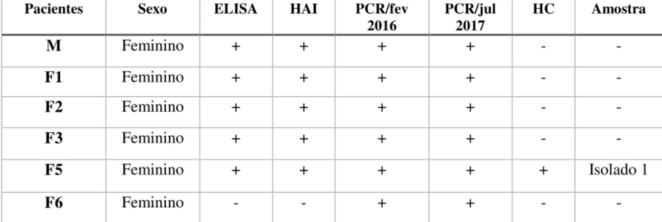 Figura  2:  Perfil  de  DNA  obtido  pela  genotipagem  do  isolado  de  Trypanosoma  cruzi  proveniente  de  paciente  da  região  do  Alto  Paranaíba,  MG,  por  meio  da  análise  do  polimorfismo  do  gene  da  subunidade II da Citocromo Oxidase (COII)