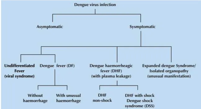 Figura 2: Manifestações da infecção causada pelo DENV. FONTE: (WHO, 2011). 