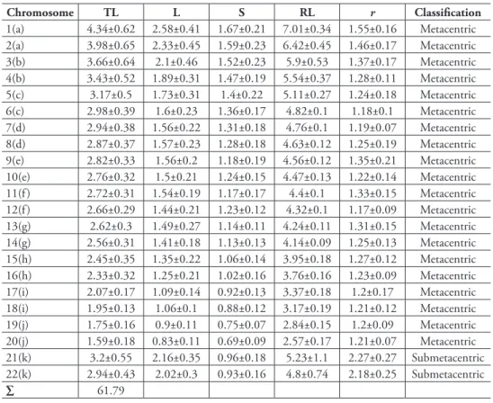 Table 1. Karyomorphometric analyses of the chromosomes of Acromyrmex striatus from ten well-spread  metaphases