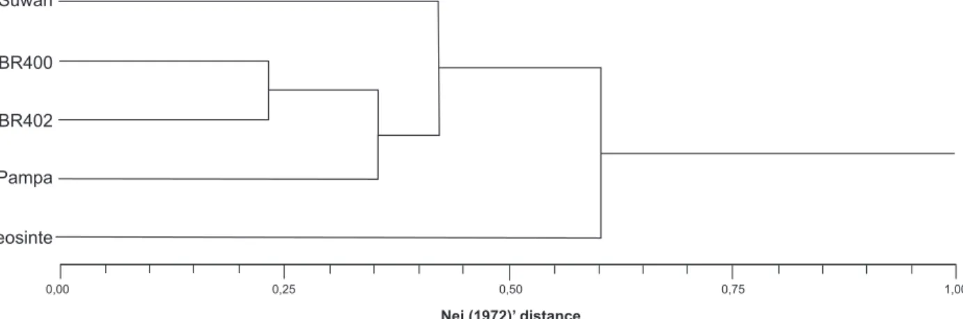 Figure 1. Dendogram of four populations obtained by the matrix of genetic distance, based on the coefficient of Nei (1972).