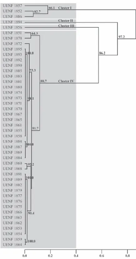 Figure 2. UPGMA dendrogram of the genetic relationship among 44 Cucurbita spp and one  Lagenaria siceraria accessions collected in Rio de Janeiro State, Brazil, based on RAPD